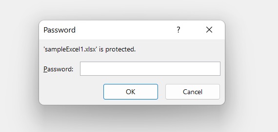 encrypting the excel file with password asking for password