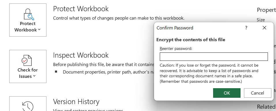 encrypting the excel file with password dialog box confirm box